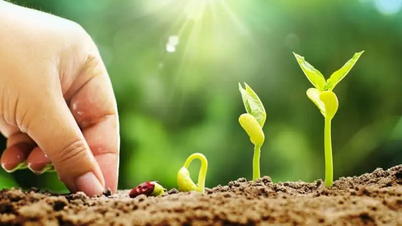 Business Accountants Central Coast
