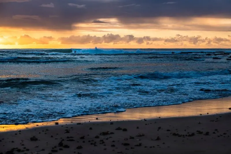 Central Coast Business Advisory